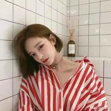 白狐
